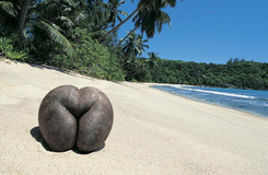 0401nzjg-8d70-245x160.png