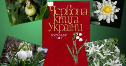 0401nztk-3fa9-414x217.jpg