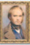 0401o18c-14b0-104x156.png