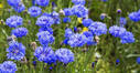 0401o19i-7ade-127x66.jpg