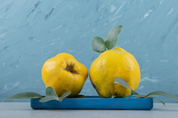 0401o1tp-13f2-256x170.png