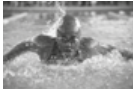 0401o22r-3a6d-133x89.png