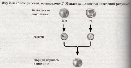 0401o2rm-c206-452x235.jpg