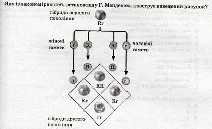 0401o2sx-3e59-419x255.jpg
