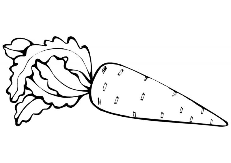 0401o5jt-45ab-800x566.jpg
