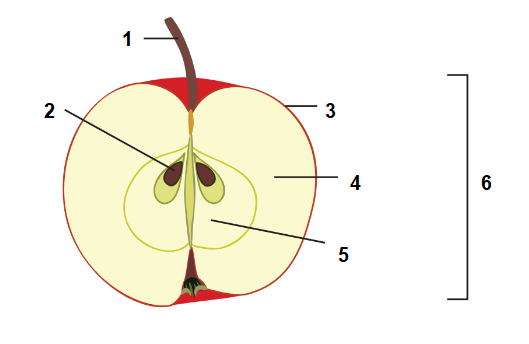 0401o7ib-413d-529x344.png
