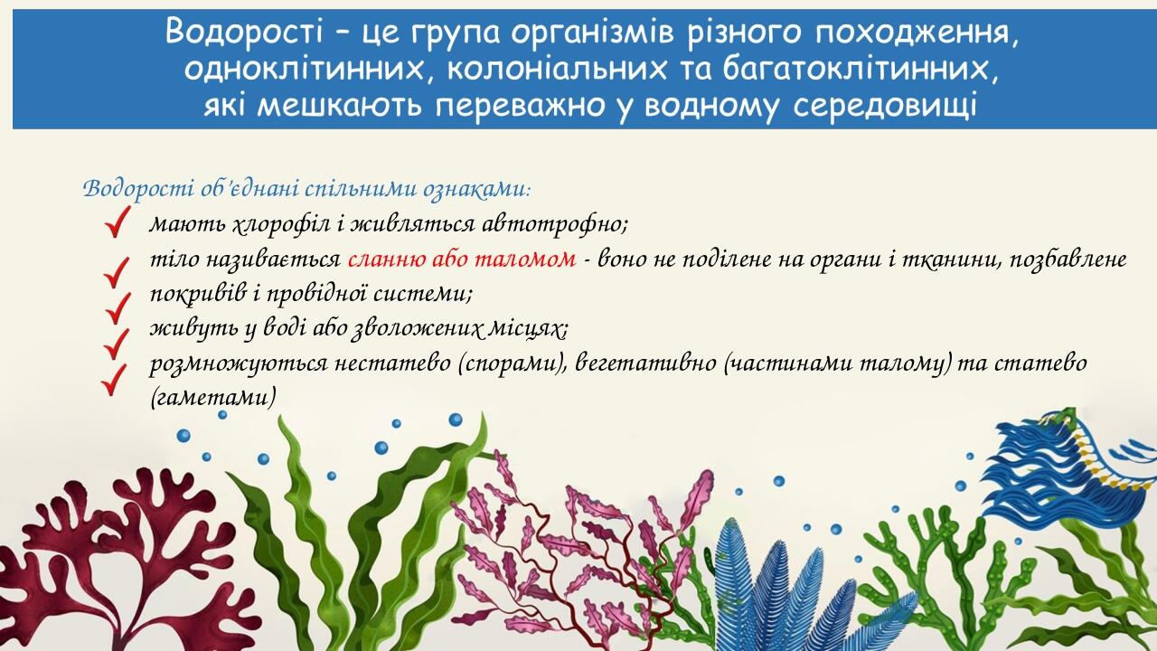 Водорості об’єднані спільними ознаками: мають хлорофіл і живляться автотрофно; тіло називається сланню або таломом - воно не поділене на органи і т...