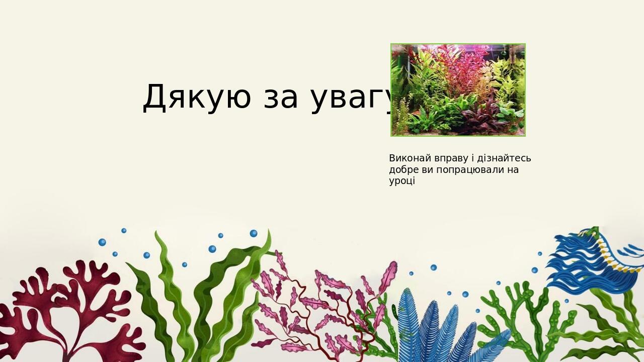 Дякую за увагу Виконай вправу і дізнайтесь добре ви попрацювали на уроці