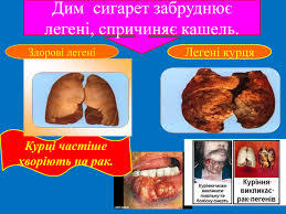 0401odlq-9eda-259x194.jpg