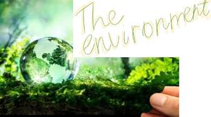Karpiuk 9 "Nature and the Environment" Lesson 1 Review 
