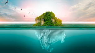 Les comportements écologiques