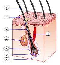 0401ofmd-15e8-200x215.png