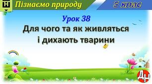 Урок 38. Для чого та як живляться і дихають тварини