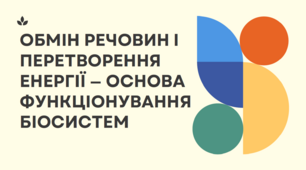 Презентація "Обмін речовин і перетворення енергії - основа функціонування біосистем"