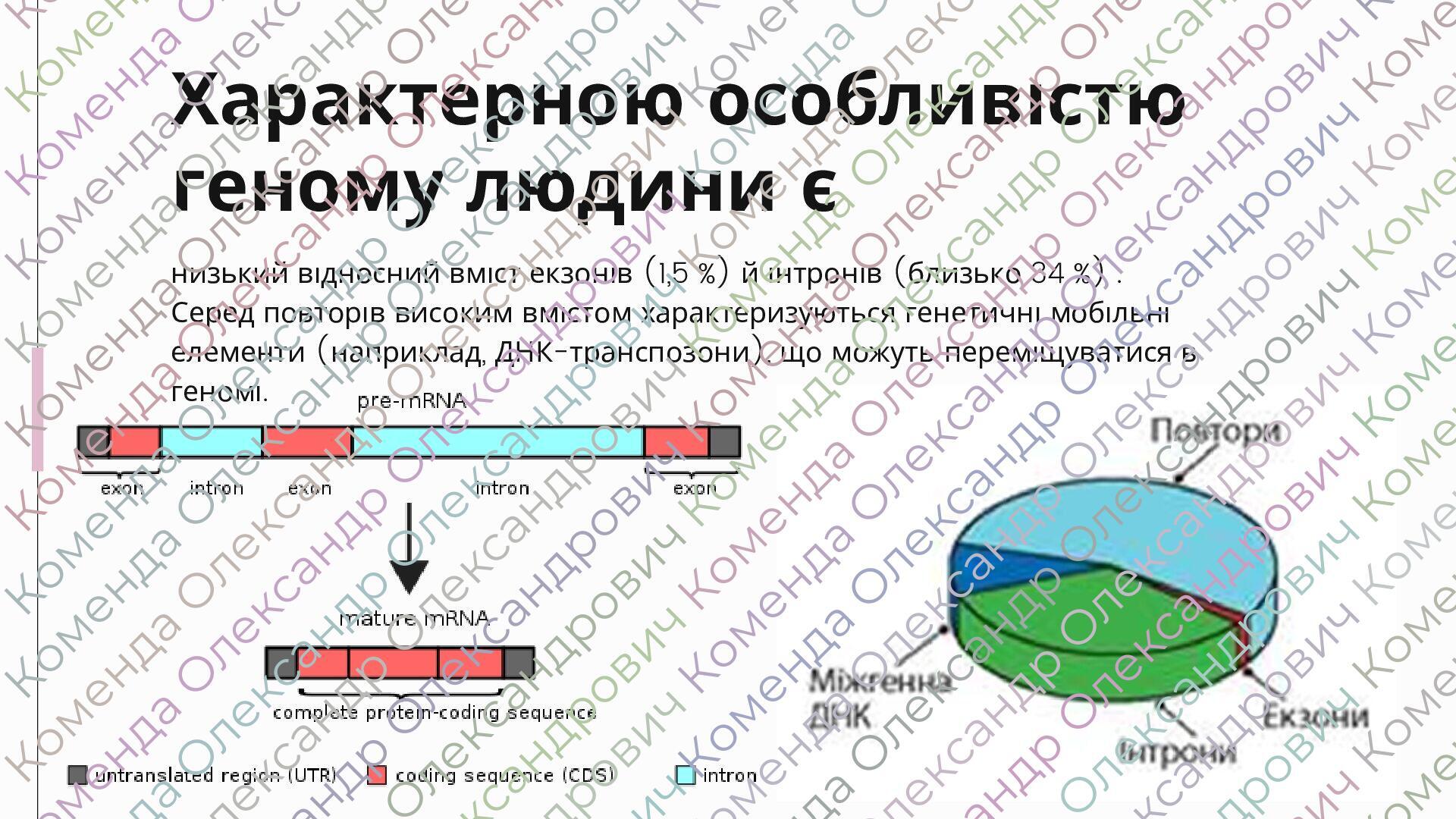 Презентація "Сучасний стан досліджень геному людини", 10 клас ...