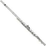 Cecilio High Grade Student C Flute