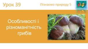 Особливості і  різноманітність  грибів "Пізнаємо природу" (авт. Коршевнюк Т.В.)