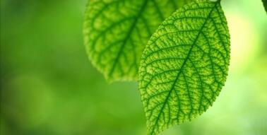 0401ompt-5e80-378x191.jpg