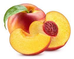 0401oo12-9124-251x201.jpg