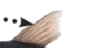 0401ooit-a2dd-133x70.png