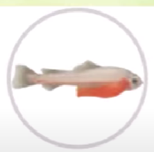 0401oou9-e174-222x219.png