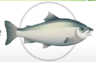 0401oous-f9b7-327x211.png