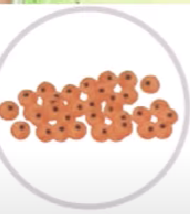 0401oov1-c9c6-190x214.png
