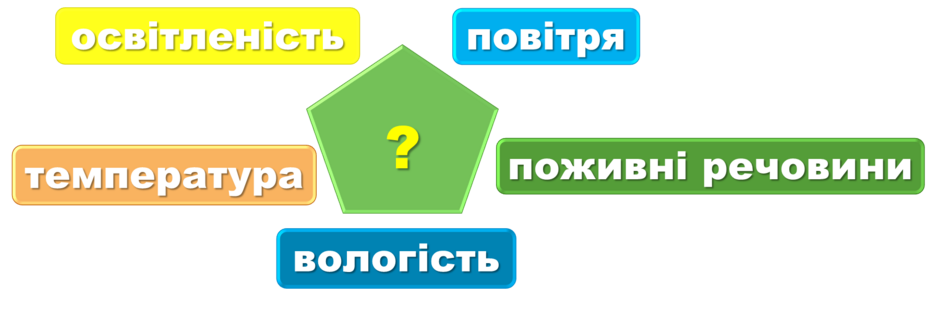 0401oq20-94b6-940x309.png