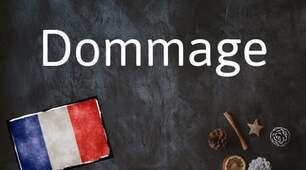 Participe passé + regrets