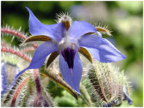 0401orwn-8dc1-210x158.png