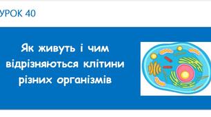 Як живуть і чим відрізняються клітини різних організмів