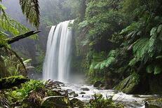 0401p05i-c541-231x154.jpg