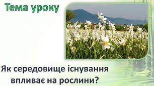 Як середовище існування рослин впливає на рослини?