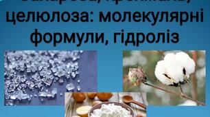 Презентація «Сахароза, крохмаль, целюлоза: молекулярні формули, гідроліз»