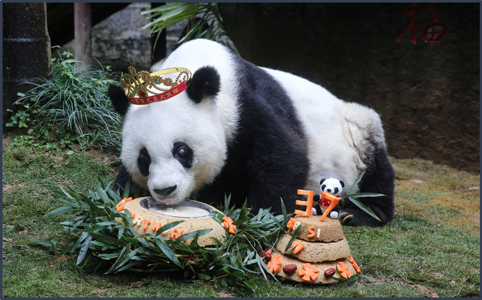 0401p29a-2071-940x586.png