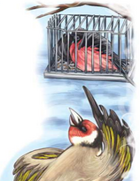 0401p2ay-5ea8-158x205.png