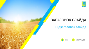 Шаблон презентації в українському стилі 7