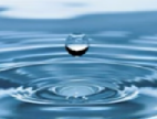 0401p2fk-40a4-142x108.png