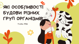 Презентація: "Які особливості будови різних груп організмів", Пізнаємо природу, 5 клас, НУШ