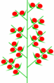 0401p3dt-30e1-77x119.png