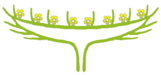 0401p3ee-49d1-161x75.png
