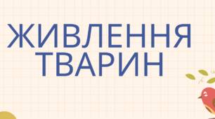 Презентація уроку "Живлення тварин" 5 клас (за Коршевнюк)