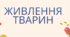 Презентація уроку "Живлення тварин" 5 клас (за Коршевнюк)