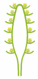 0401p3h6-01ed-79x162.png