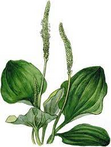 0401p3sd-1a7d-111x147.png