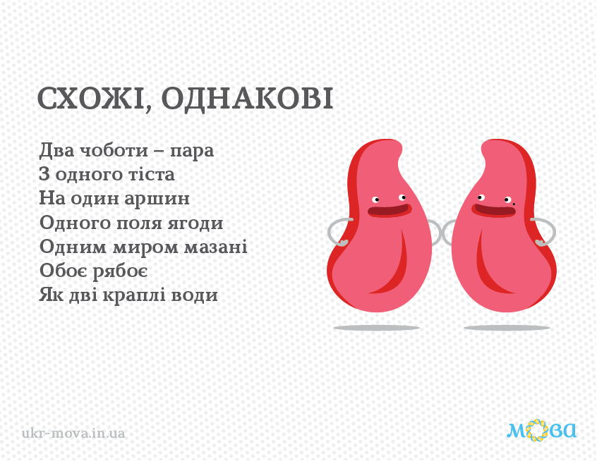0401p45a-03dd-846x654.png