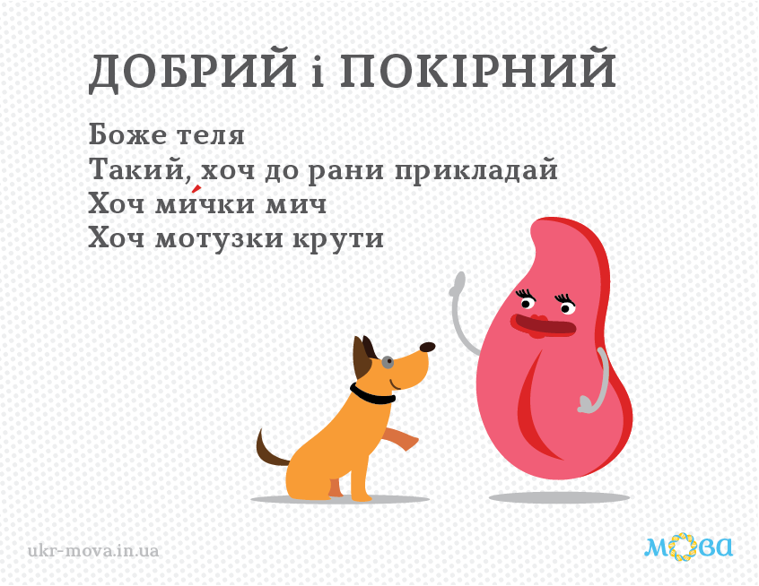 0401p45e-fe56-846x654.png