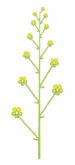 0401p4e2-2249-75x165.png