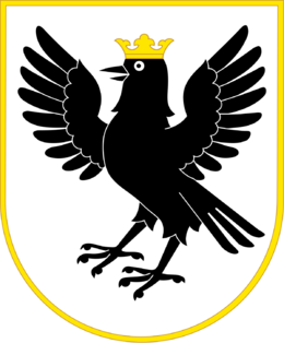 0401p55v-f585-260x314.png