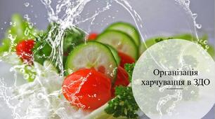 Організація харчування в ЗДО